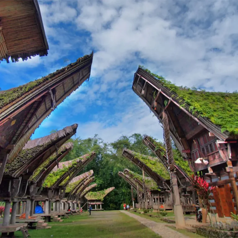 081641900_1486518286-toraja-02-800