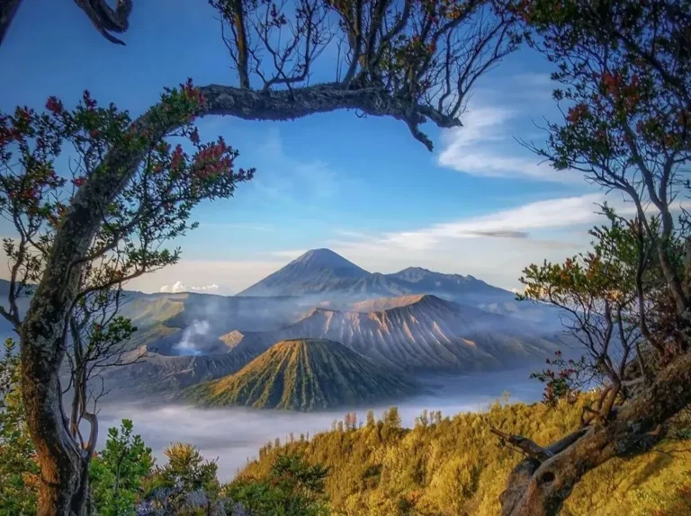 gunung-bromo-terletak-di-1-1